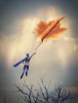 Un volo a calare