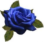 Ritratto di donna