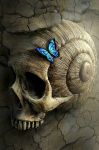 Ombre nell�anima