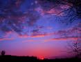 L'amore � un sogno  