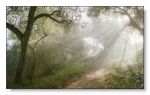 Autunno