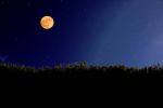 Luna "delle Fragole"
