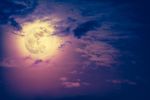 Il Celeste Viaggio di Luna - 2