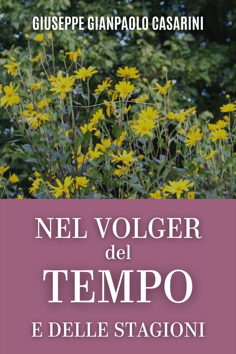 Copertina di Nel Volger del Tempo e delle Stagioni